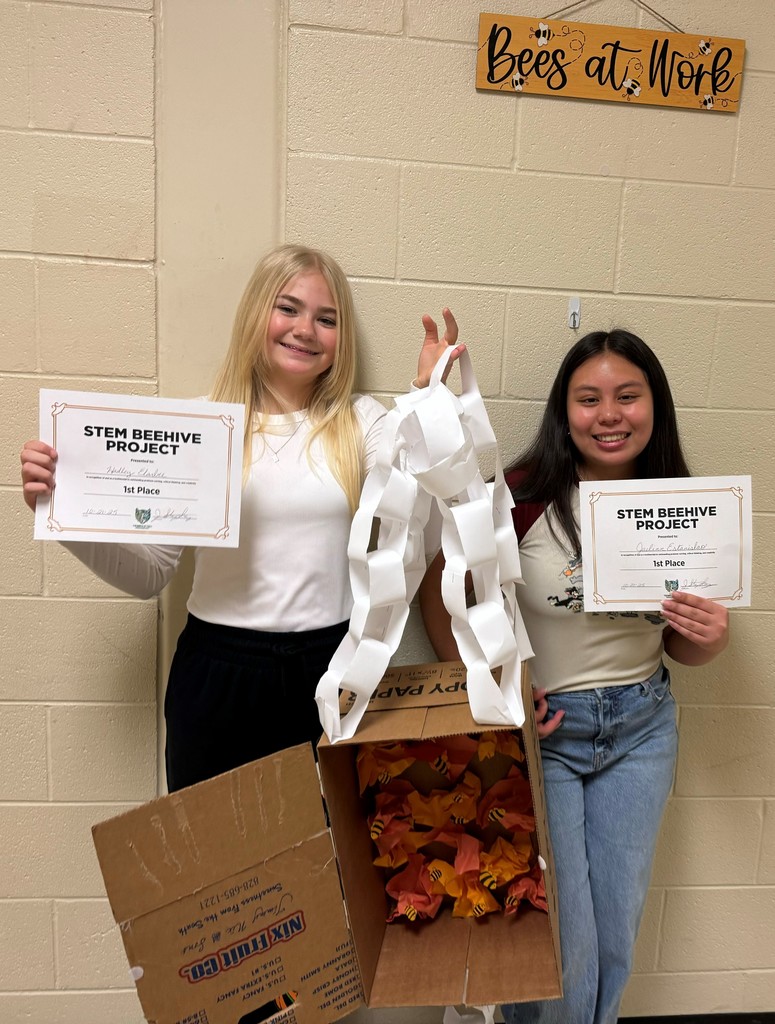 Student Showing Project