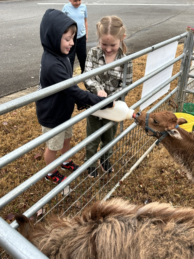 first grade petting zoo