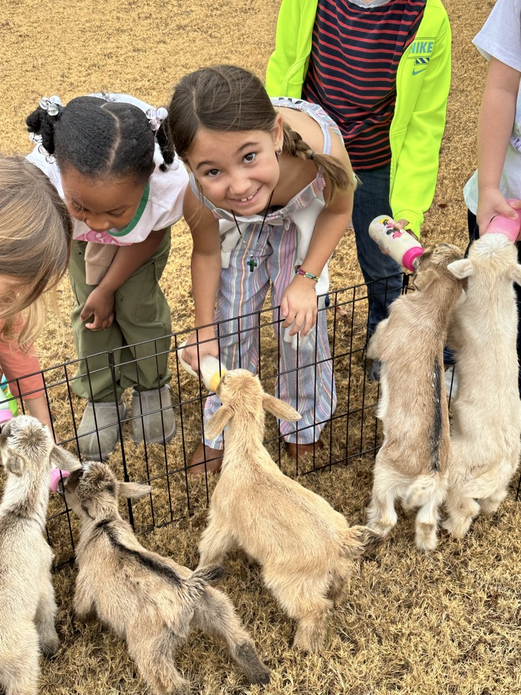 first grade petting zoo