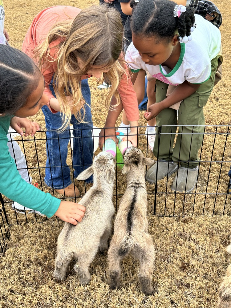 first grade petting zoo