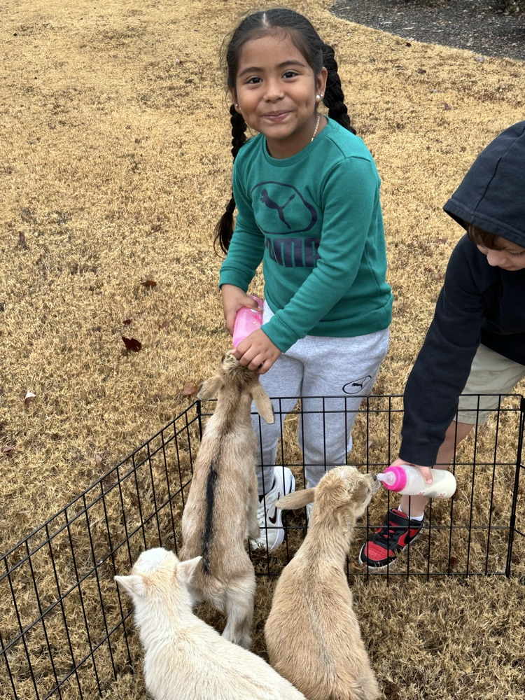 first grade petting zoo