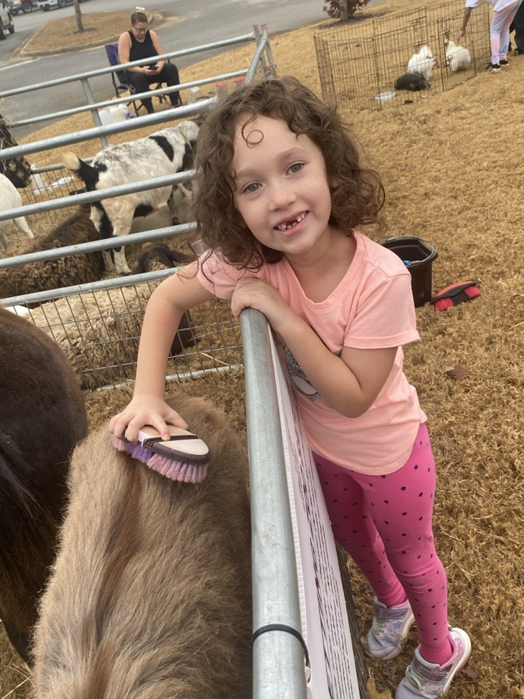 first grade petting zoo