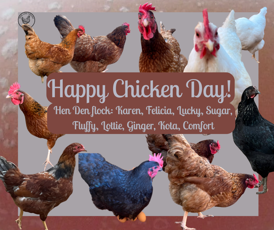 Graphic with multiple chickens of various colors arranged around a central text box. The text reads: ‘Happy Chicken Day! Hen Den flock: Karen, Felicia, Lucky, Sugar, Fluffy, Lottie, Ginger, Kota, Comfort.’ The background has soft pink and brown tones, and the chickens are pictured in different poses around the text.