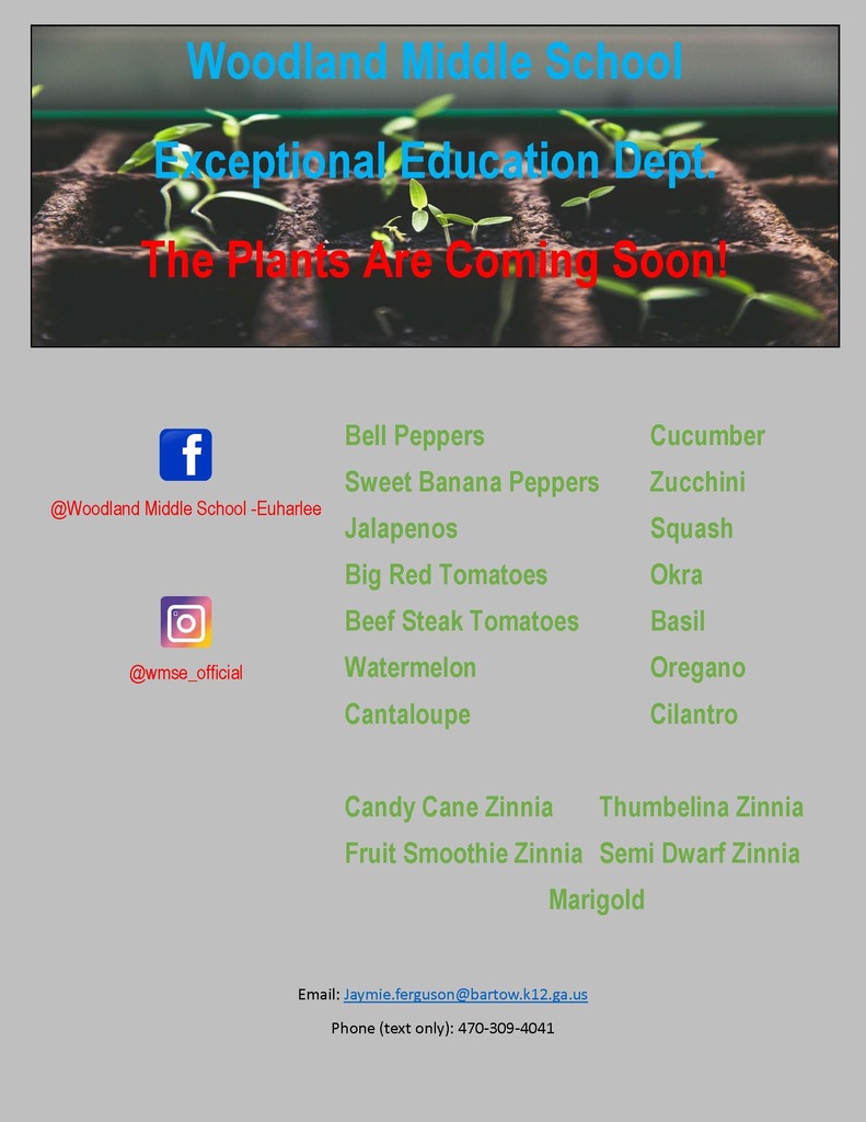 Woodland Middle School. Exceptional Education Department. The Plants are coming soon! Bell peppers, sweet banana peppers, jalapenos, big red tomatoes, beef steak tomatoes, watermelon, cantaloupe, cucumber, zucchini, squash, okra, basil, oregano, cilantro, candy cane zinnia, thumbelina zinnia, fruit smoothie zinnia, semi dwarf zinnia, marigold.