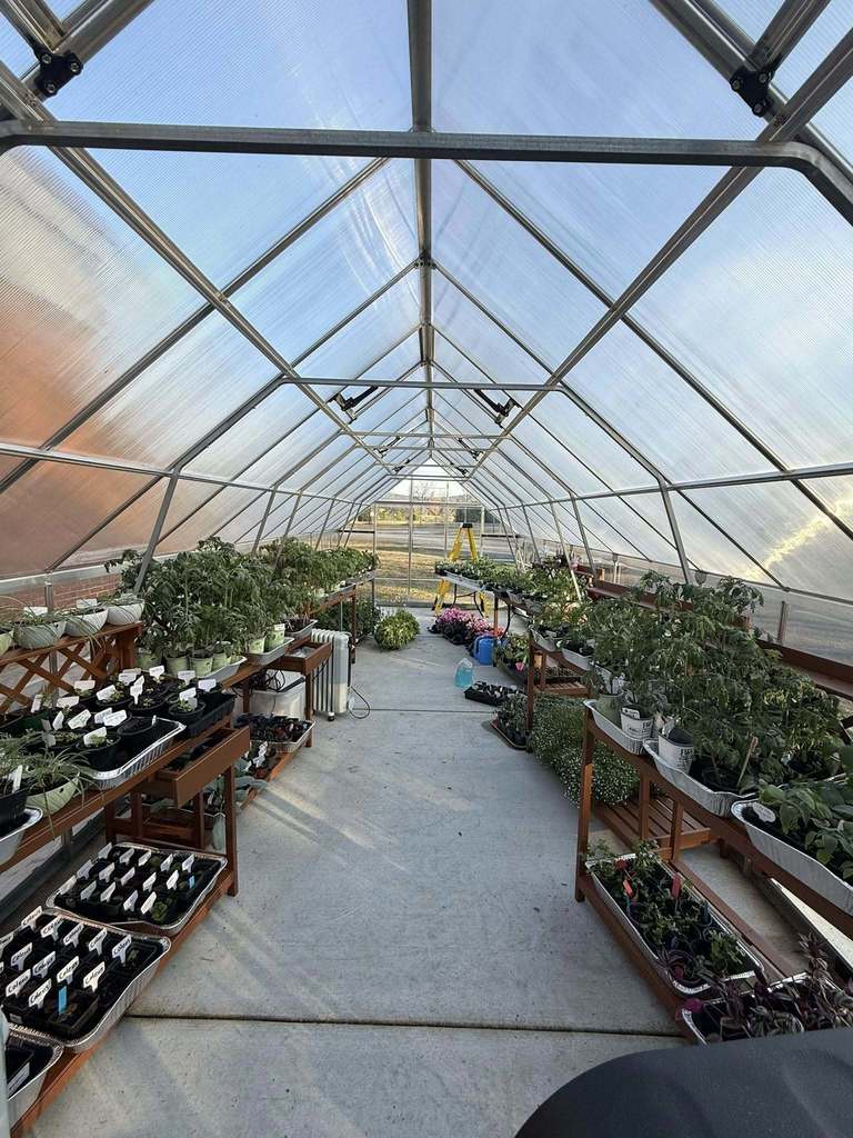 Greenhouse interior with multiple plants in pots on both sides of a central walkway. Glass panels form the roof and sides.