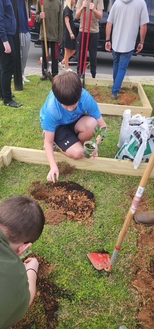 People plant a tree in a garden bed. A boy in a blue shirt plants the tree. A shovel rests on the ground.