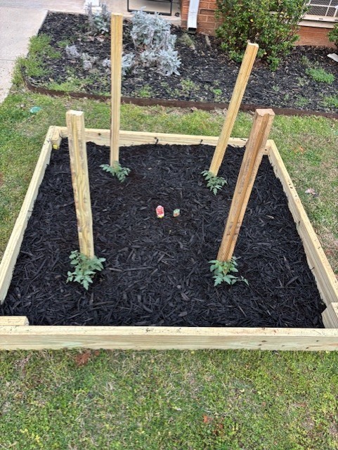 A small raised garden bed with four wooden posts, filled with dark soil, and a few small plants.