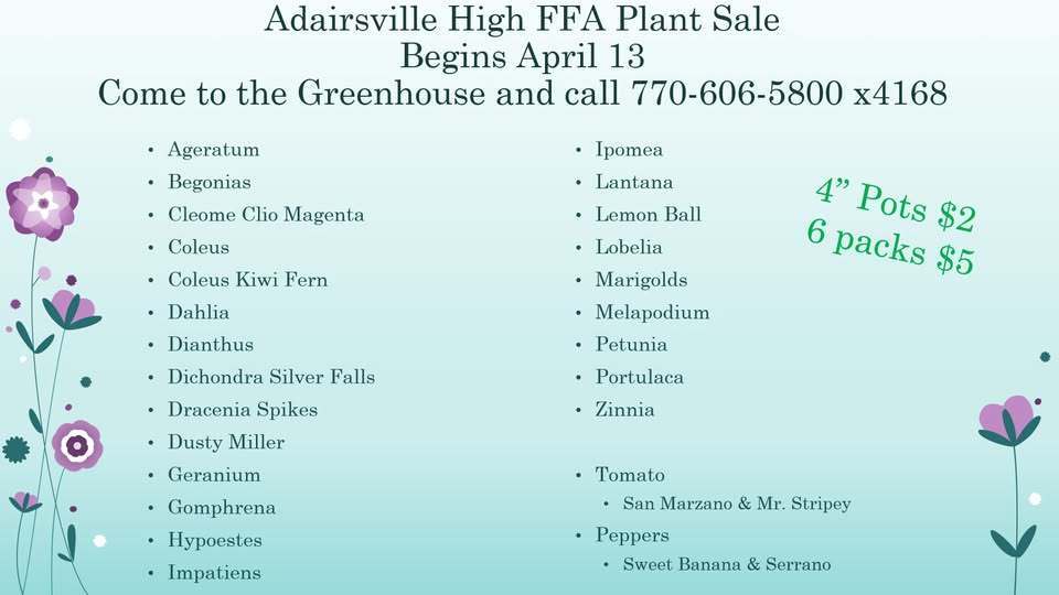 Image of the AHS FFA plant sale