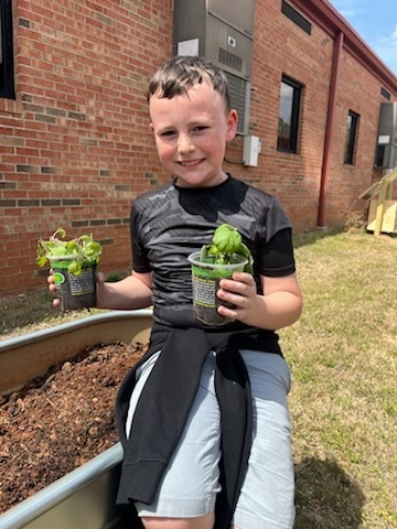 A student holds two small pots of green plants while leaning against a raised garden bed outdoors in front of a brick building.