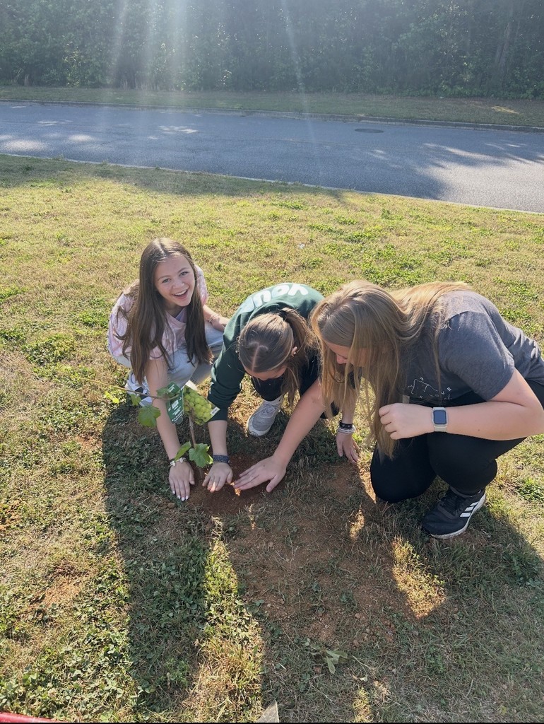 Three individuals planting a sapling in grass with a road and trees in the background.