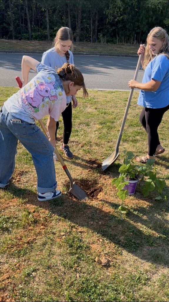 Three people dig a hole and plant a potted plant on grass. Trees and a road are in the background.