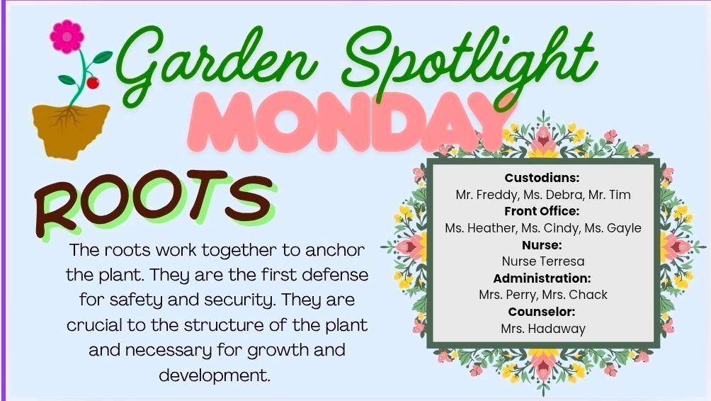 Green banner with "Garden Spotlight Monday" and "ROOTS" text. Illustration of a potted plant. Information about roots' role in plant structure.
