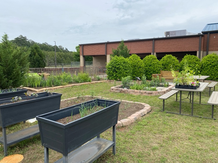 Thank you to Woodland High School for donating pollinator and vegetable plants for our school garden!