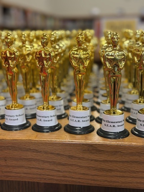 Multiple golden trophy statues, with white pedestals, on a wooden shelf. Some pedestals have text.