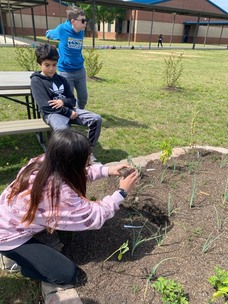 Our students planted pollinator plants, herbs, and vegetable plants in our school garden today. We are excited to watch them grow over the next year!
