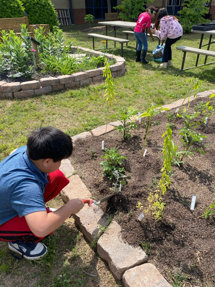 Our students planted pollinator plants, herbs, and vegetable plants in our school garden today. We are excited to watch them grow over the next year!