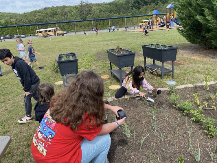 Our students planted pollinator plants, herbs, and vegetable plants in our school garden today. We are excited to watch them grow over the next year!