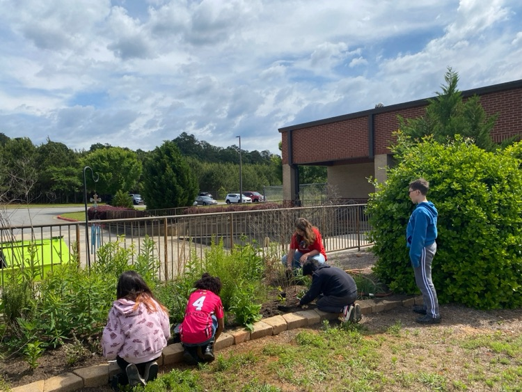 Our students planted pollinator plants, herbs, and vegetable plants in our school garden today. We are excited to watch them grow over the next year!