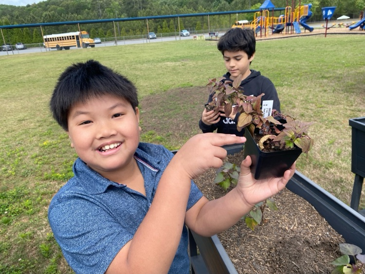 Our students planted pollinator plants, herbs, and vegetable plants in our school garden today. We are excited to watch them grow over the next year!