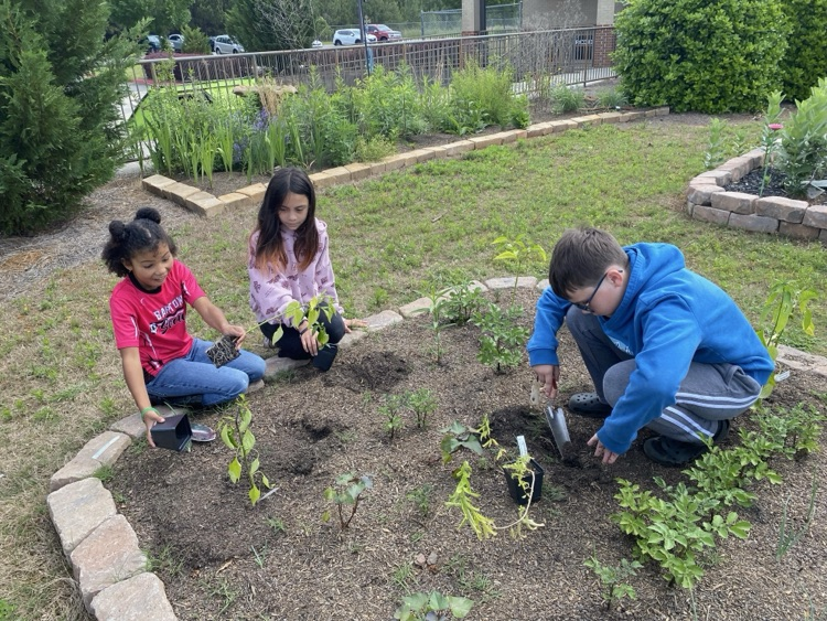 Our students planted pollinator plants, herbs, and vegetable plants in our school garden today. We are excited to watch them grow over the next year!