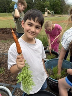 A young boy in a white T-shirt holds up a carrot with green leaves. Other children are working in buckets.
