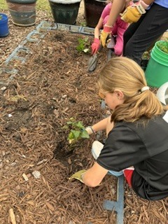 People planting in a raised garden bed. A young girl and a woman work in the soil.