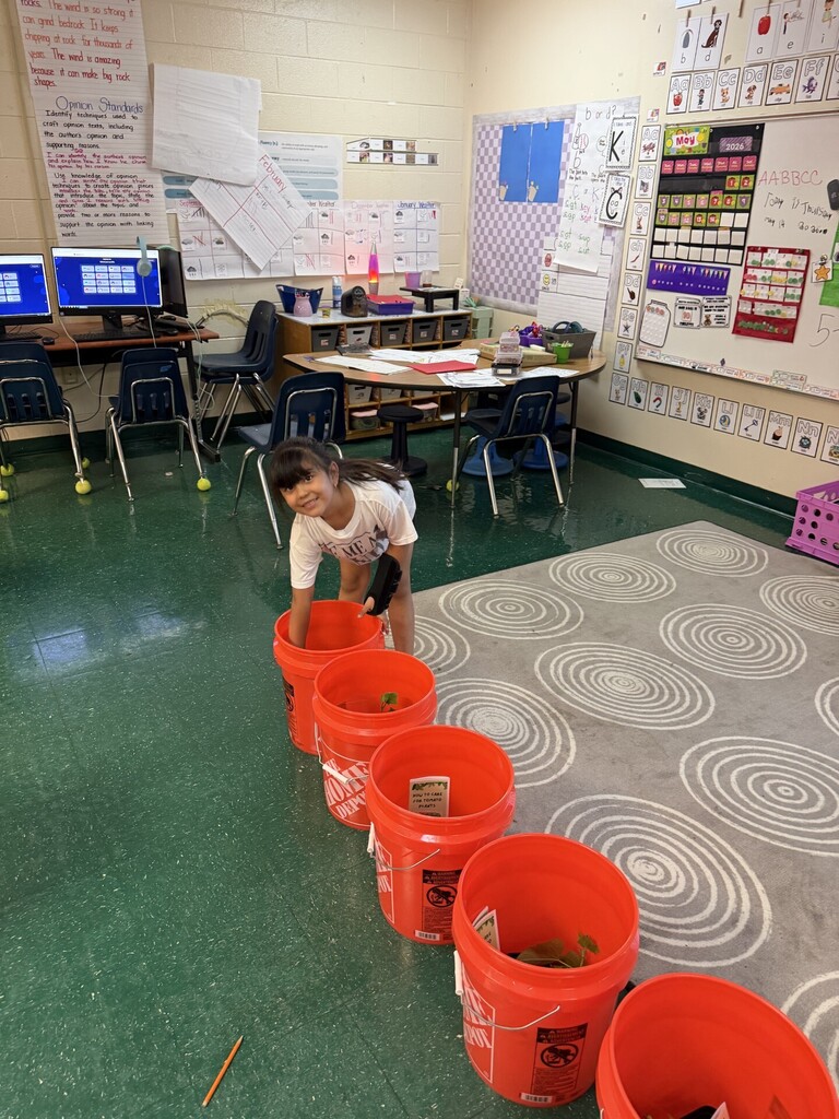 A child is bending over with hands in orange buckets lined up on a floor in a classroom.