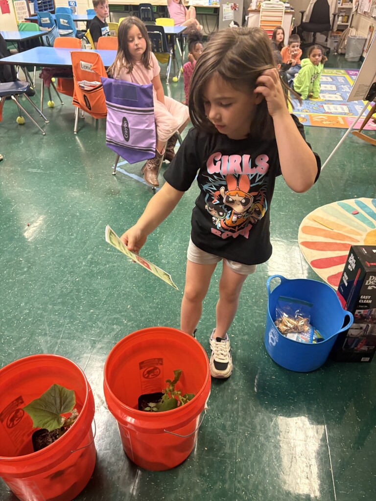 A young child holds a yellow paper and looks into a red bucket. Another red bucket and a blue bucket are nearby.