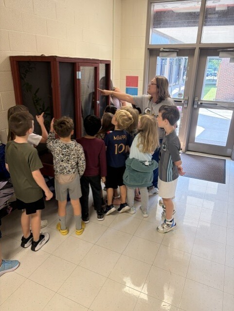 A group of children stands in front of a display case with an adult pointing at it.