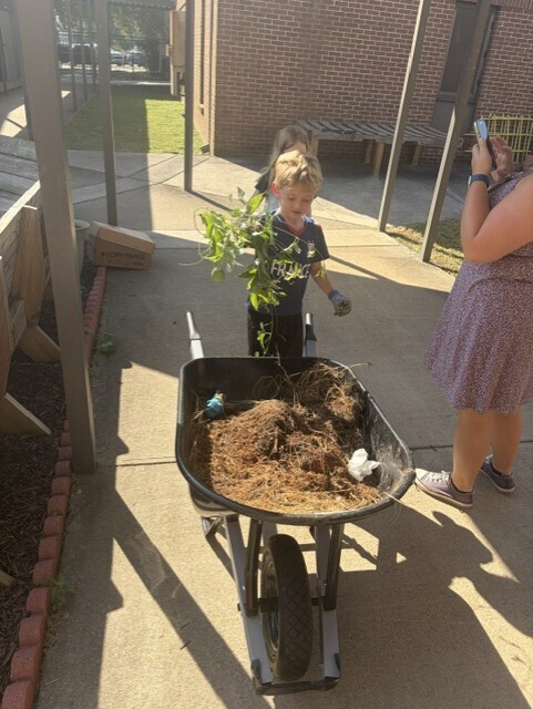 A young child pushes a wheelbarrow filled with dirt and a plant. A woman behind him takes a photo.