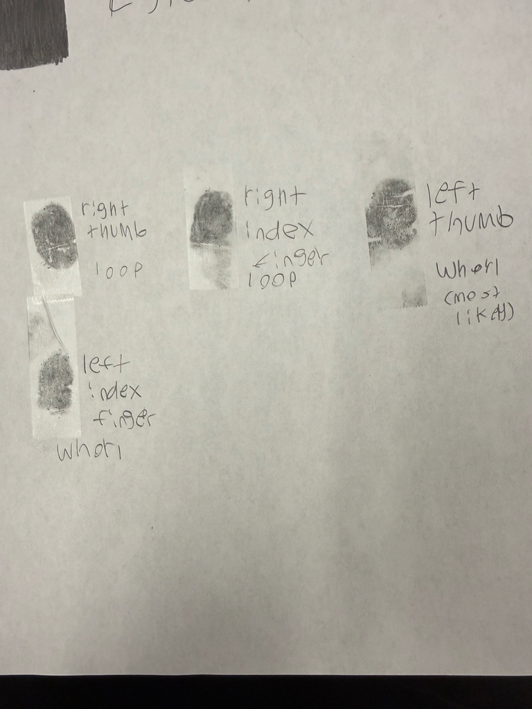 A white paper with various inked fingerprint impressions labeled "Right Thumb Loop," "Right Index Loop," "Left Thumb Whorl," "Left Index Whorl," and "Left Finger Whorl."