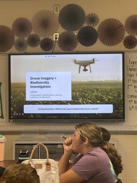 A classroom with a large screen displaying "Drone Imagery + Biodiversity Investigation". A woman sits with her chin on her hand watching.