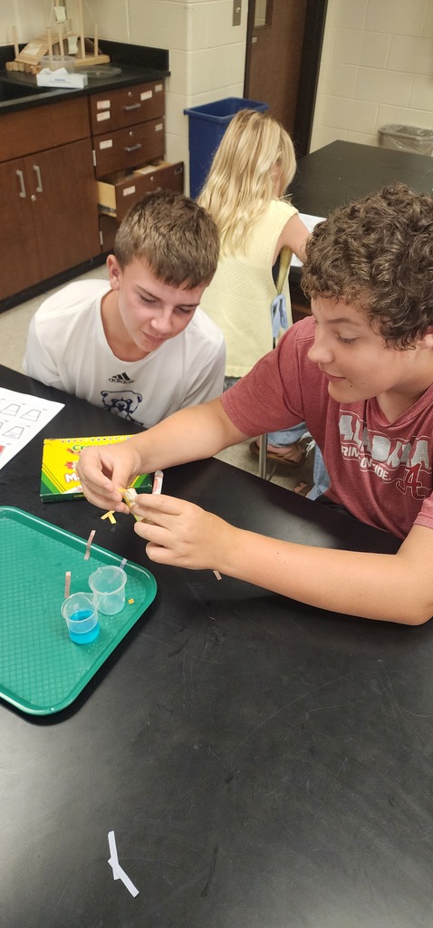 Two boys conduct an experiment with small vials at a lab station. One holds a pipette.