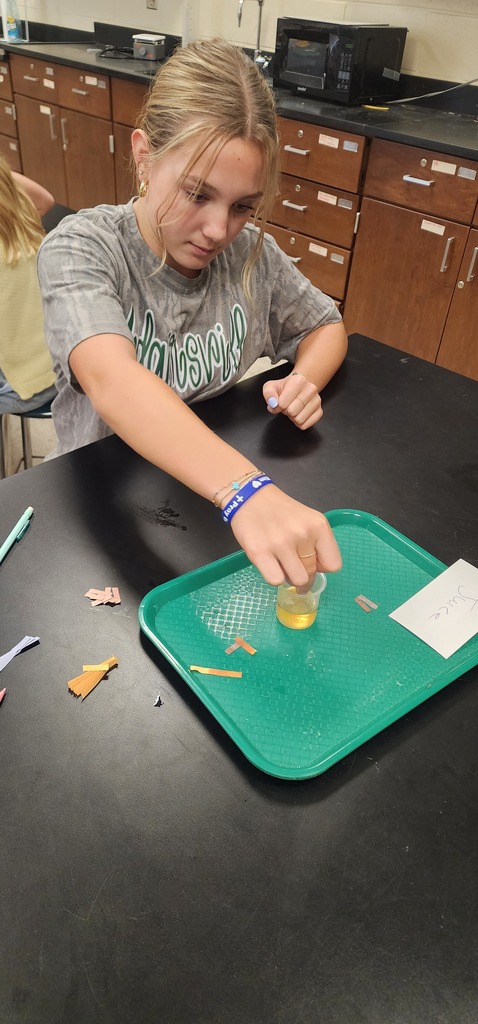 A student pours a liquid from a cup into a test tube on a tray, in a kitchen setting.