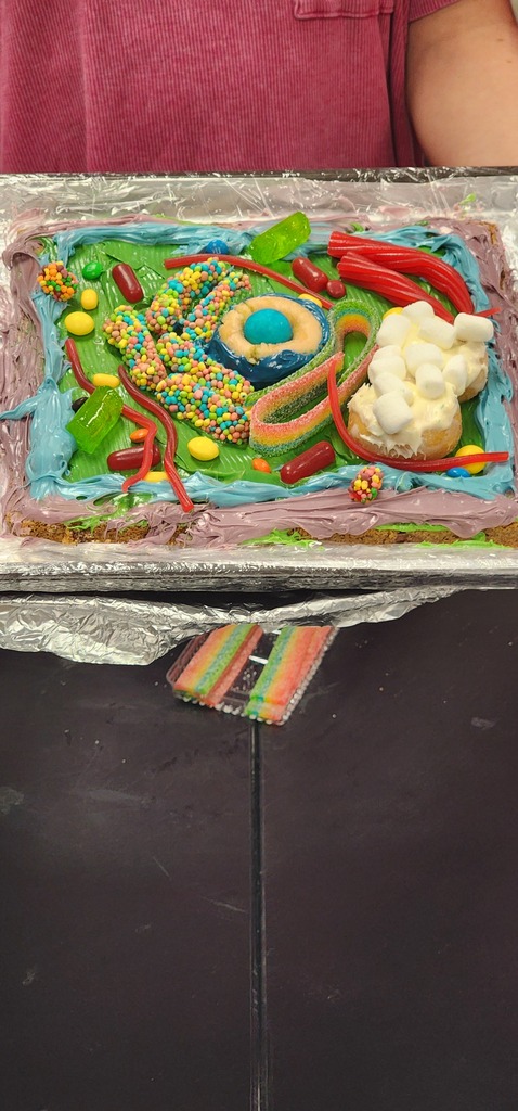A model of a cell made with food items. It includes components like cell wall, cytoplasm, and nucleus.