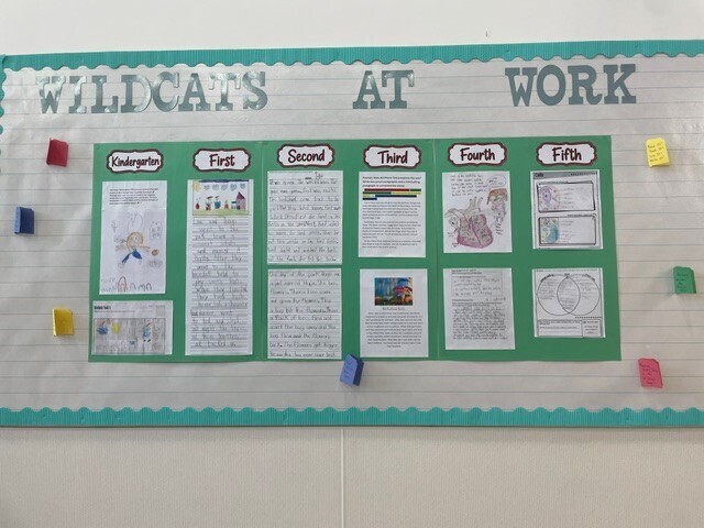 Picture of students' writing on a bulletin board.