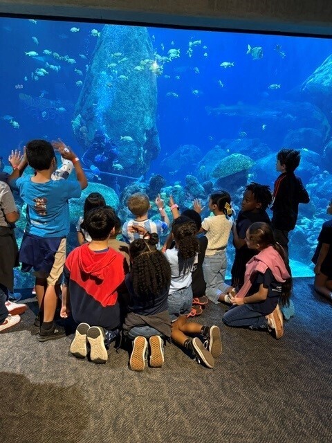 3rd grade on a field trip to the aquarium.
