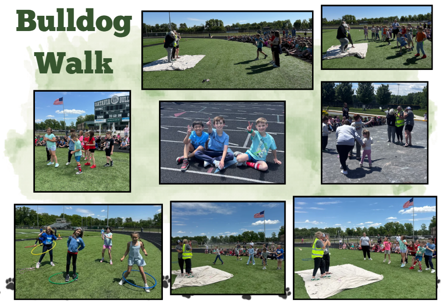 Bulldog Walk