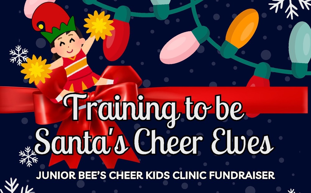 Cheer Clinic information