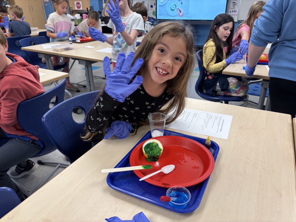 Students made lemon volcanoes to study the changes to Earth's surface. 