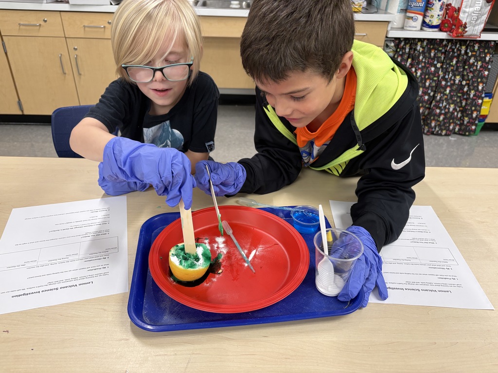 Students made lemon volcanoes to study the changes to Earth's surface. 
