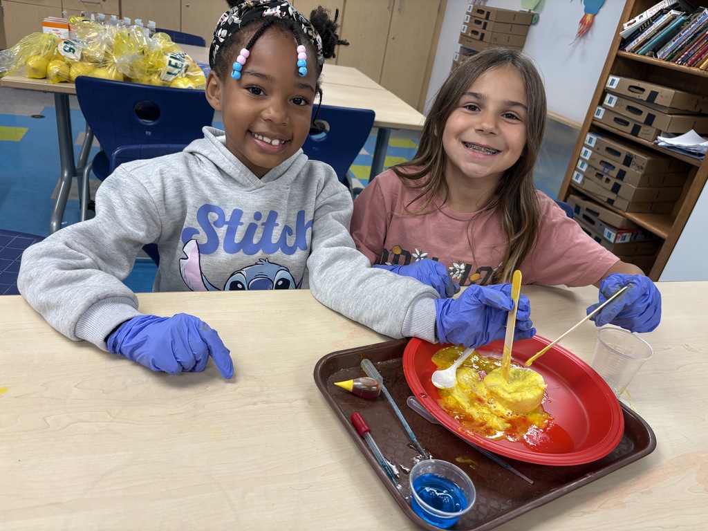 Students made lemon volcanoes to study the changes to Earth's surface. 