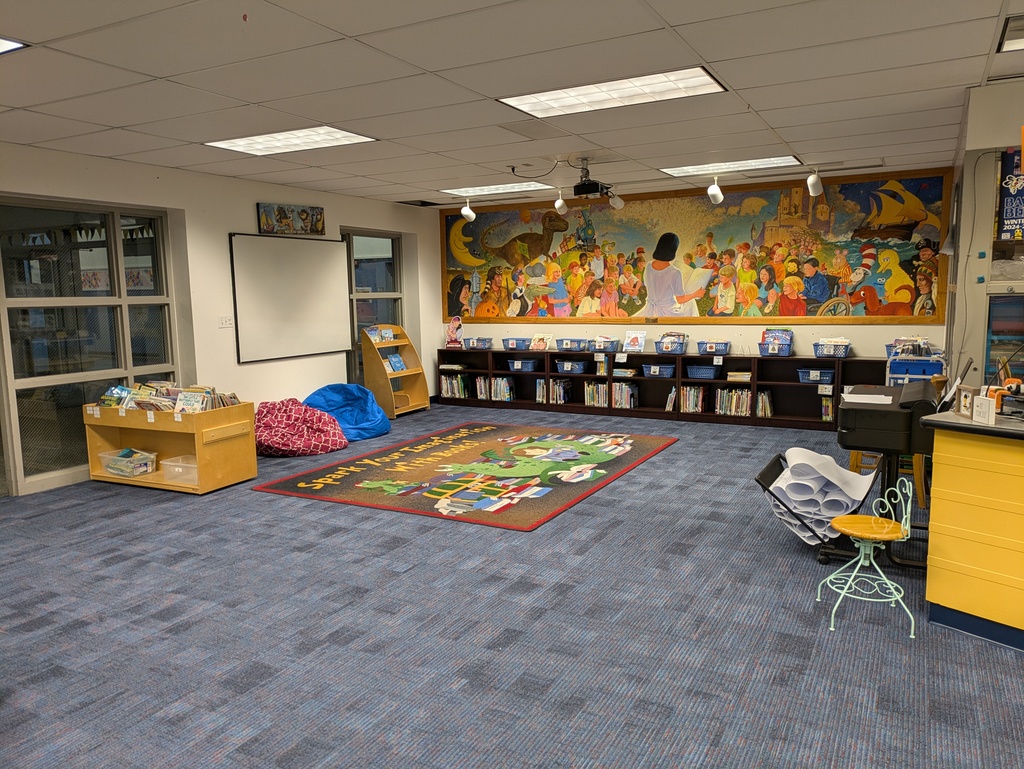 Mural on the wall with new bookshelves below it