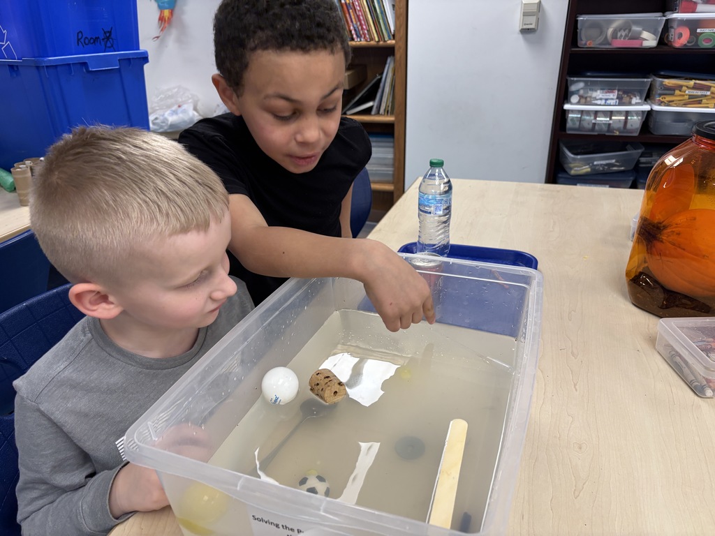 Boys watching objects sink and float in tub