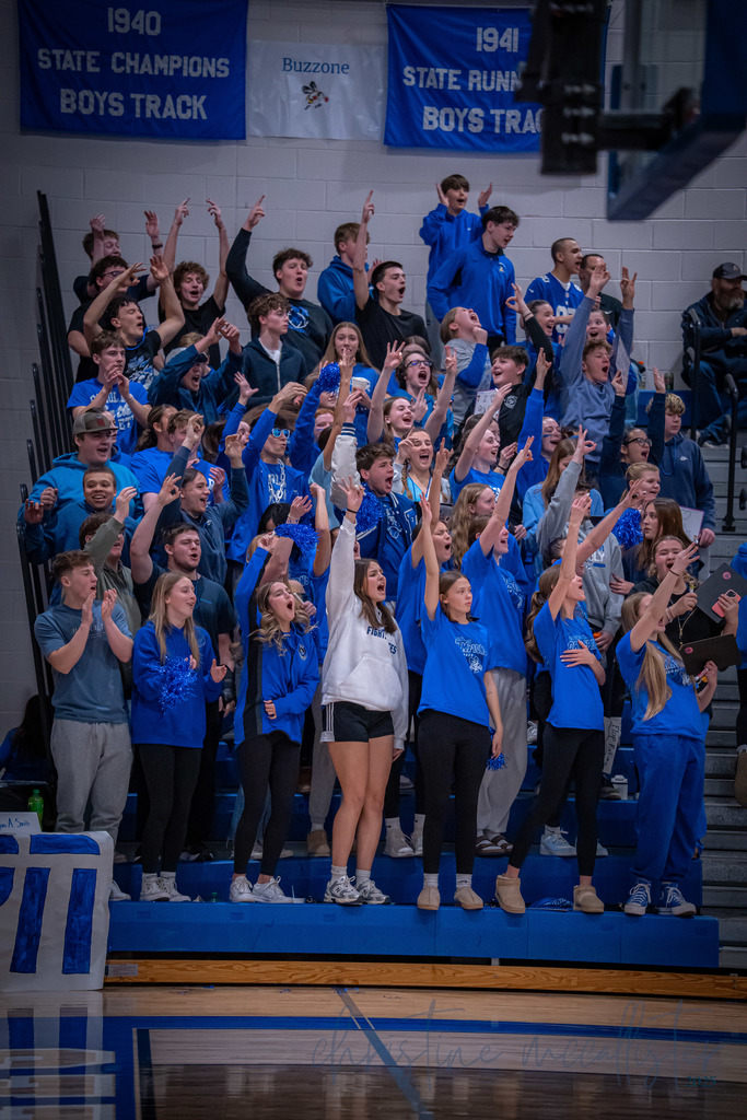 Students cheering in the stands