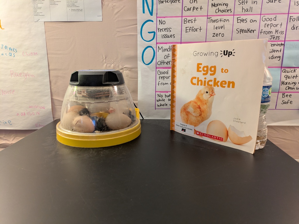 Incubator next to book titled Egg to Chicken