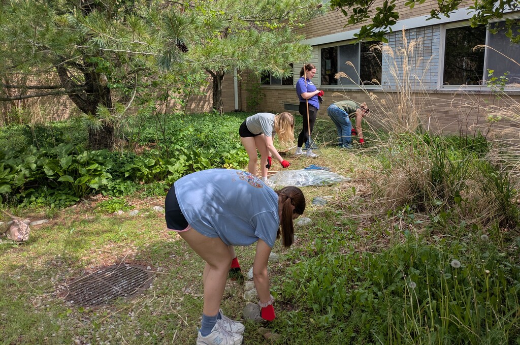 Students weeding the middle school courtyard garden