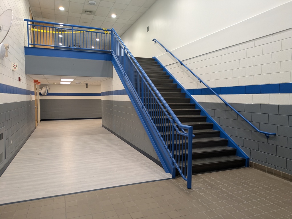 new flooring and stairs