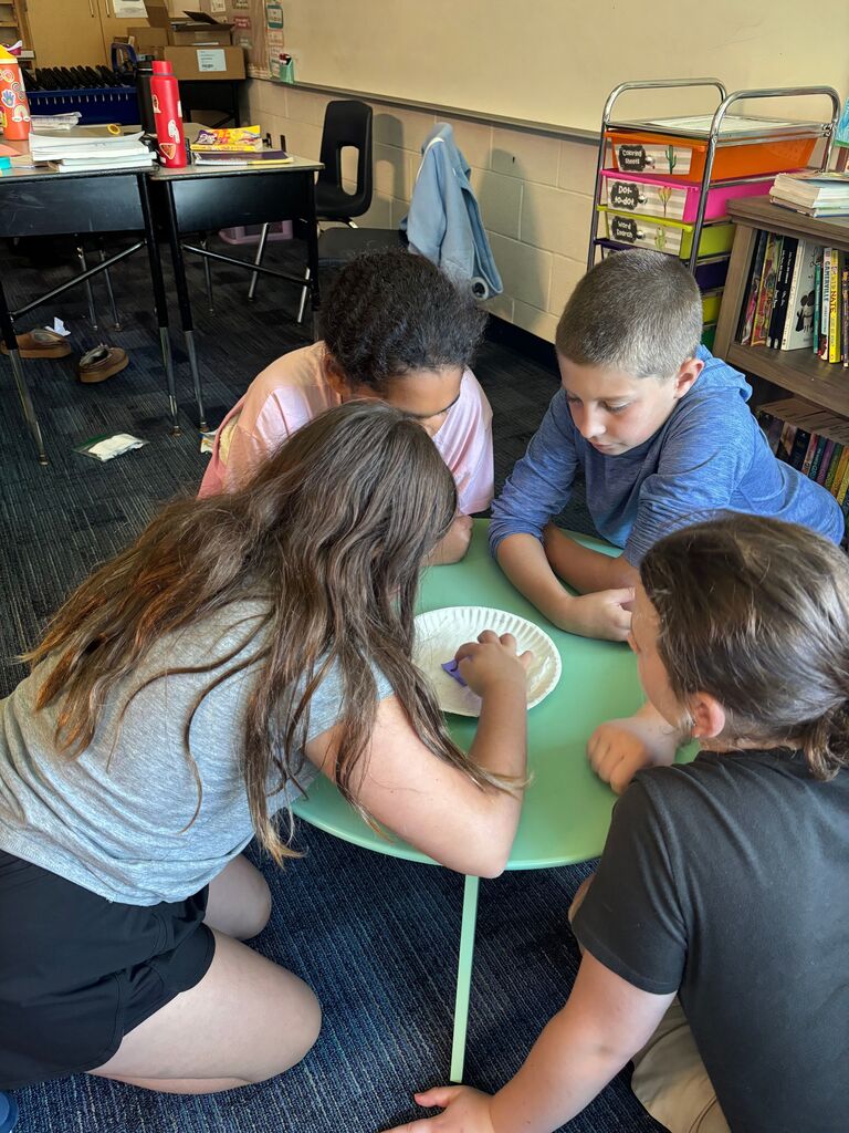 Students sitting around a table looking at a worm