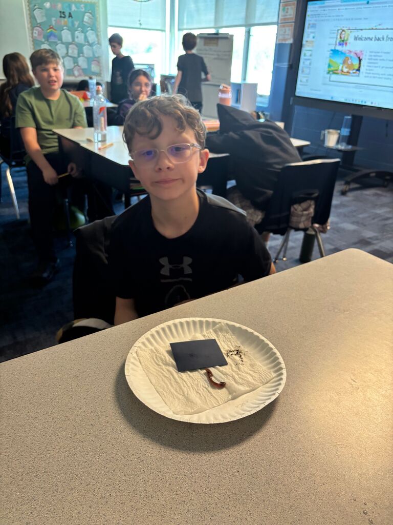 Boy sitting at table with worm on a plate